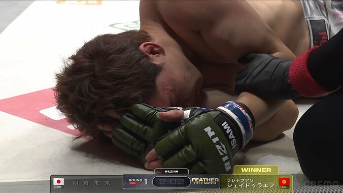 【写真・画像】　1枚目