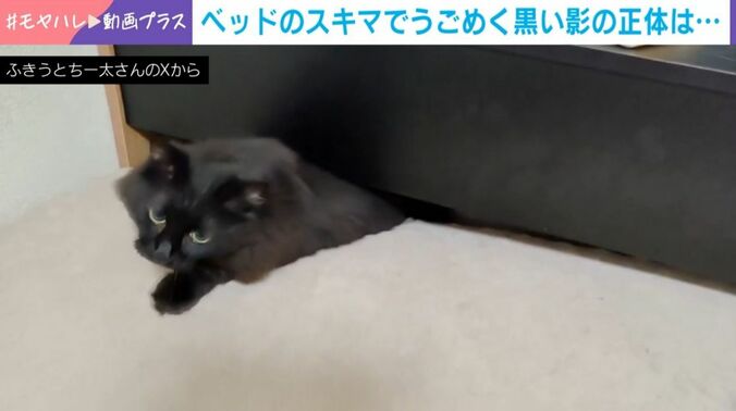 ういろうちゃん