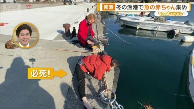 楽しんでいる住田アナウンサー