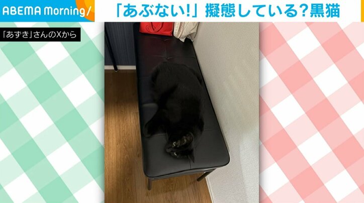 黒猫のあずきちゃん（6歳）