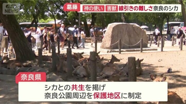 奈良公園周辺を保護地区に制定