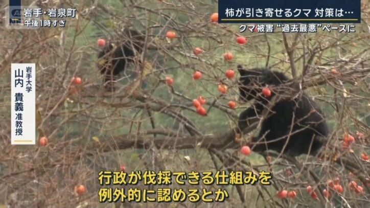 岩手大学 山内貴義准教授