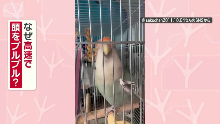 なぜ高速で頭ブルブルする？