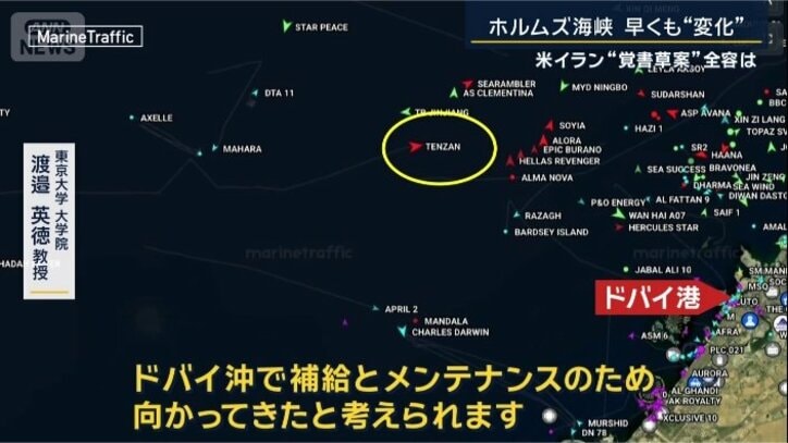 ​東京大学大学院　渡邉英徳教授