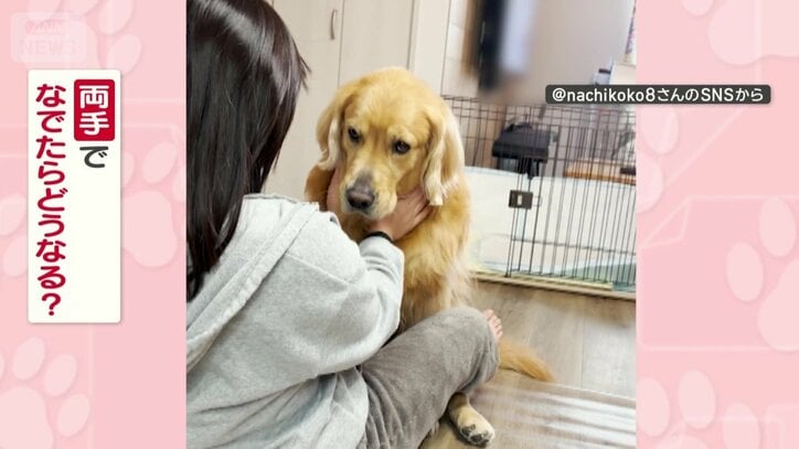 両手でなでたらどうなる？