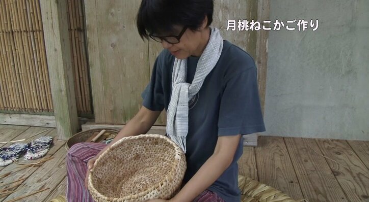 めんそーれニャン！  沖縄・石垣島の「美ら猫」たちにほっこり