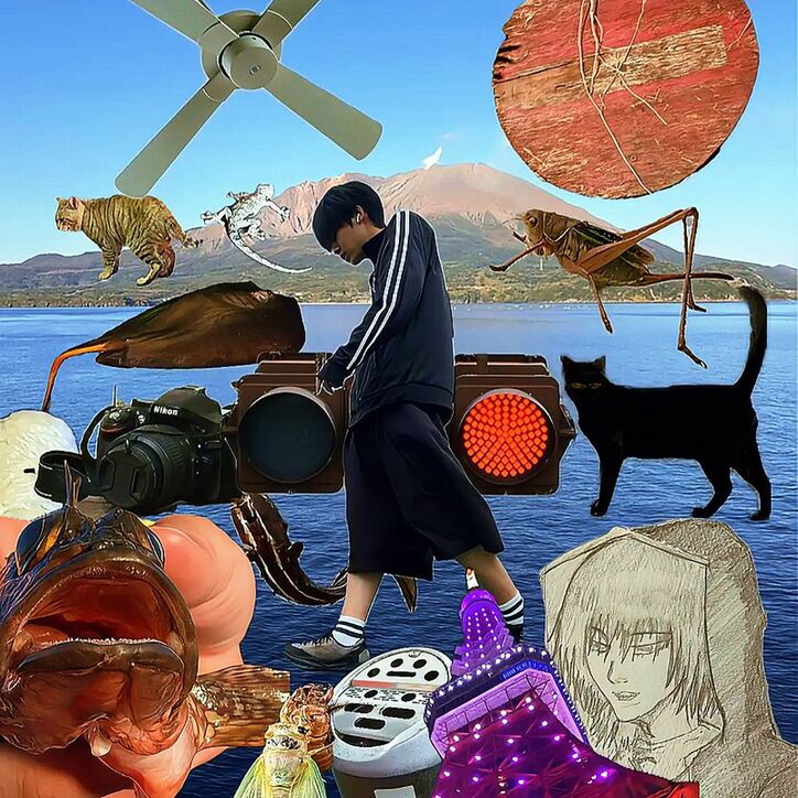 【写真・画像】　2枚目