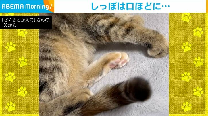 表情とは裏腹に可愛く動くしっぽ