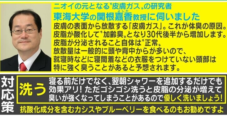 「棄てられるべきは俺の方」臭くなった枕に関する哀愁漂うツイートが話題に 専門家に加齢臭対策を直撃