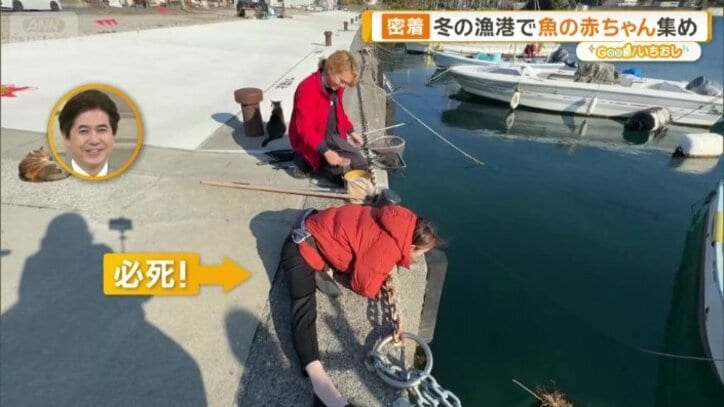 楽しんでいる住田アナウンサー