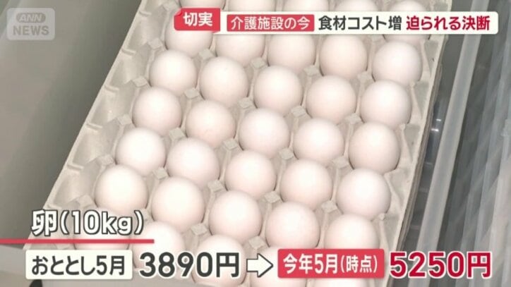卵の価格