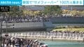 水面に三角のヒレ…水路に体長3.5mの“珍客”が出現→100万人が詰めかけるサメフィーバー 専門家が「逃げないワケ」を指摘 韓国