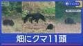 クマ出没全国に…有名観光地にも　各地で厳戒態勢