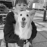 「最高で可愛すぎる」「犬になりたい」川口春奈、犬との“微笑ましい”2ショットを公開しファン絶賛