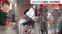  “コンビニ“にネズミが大量発生！　気になる原因は？
