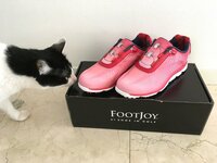 藤あや子『忘れてました』