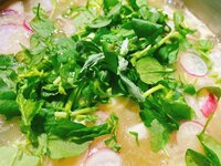 藤原紀香『無病息災を祈り』