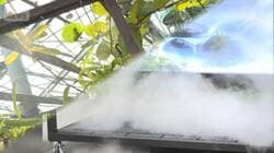 新たな「ひんやり名所」続々誕生　ミスト雲海や泊まれる植物園　暑さを楽しみに変える