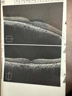  田中健、医師に勧められて受けた検診結果を報告「血糖値管理が必要なお年頃でして」 
