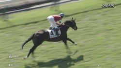 「着差以上の強さ」藤田オーナー1億円馬、“夢へつながる一歩”デビューV！ ファン期待膨らむ「世代上位だ」