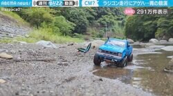 「 まるでCM！」青いラジコンを先導するように飛ぶアゲハチョウ 幻想的な共演に「幸せの青い鳥とか脳をよぎる」「色に惹かれたんかなw」と反響