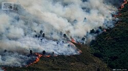 山火事で初の国家非常事態宣言　欧州の熱波　スペインの首都マドリードに迫る火の手