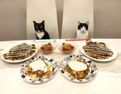  藤あや子、坂本冬美から貰った手作りの差し入れ「フワッフワで激ウマ」 