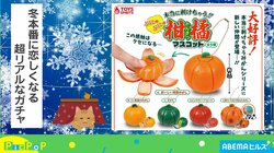 カビまで再現！ リアルすぎる“柑橘類”のカプセルトイが登場 担当者「みかんそのものを表現」