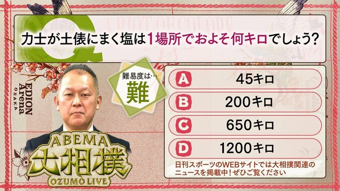 【写真・画像】ABEMA大相撲センター試験 2026年三月場所　16枚目