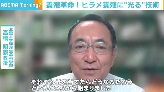 “緑色の光”がヒラメの成長を促進？「エサ食いがよくなった」 データが実証も要因は研究中 3枚目