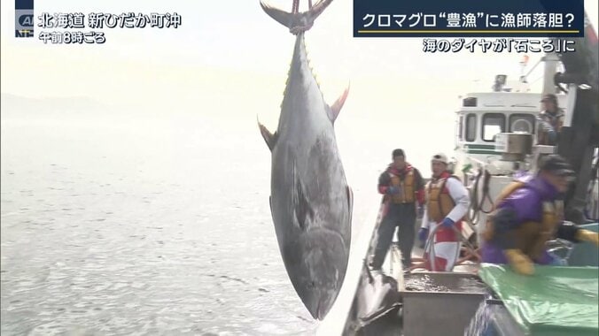 マグロ