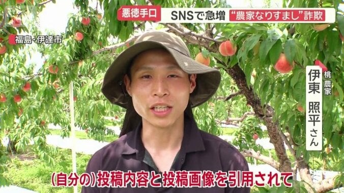 桃農家　伊東照平さん