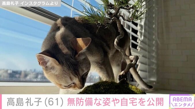 高島礼子 Instagramより