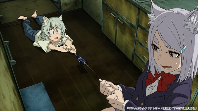 Selbst wenn die Zigaretten versteckt werden, gibt Yani-Neko nicht auf… Synopse, erste Vorschaubilder und Trailer zu Folge 5 des Anime „Chainsmoker Cat“ veröffentlicht 2