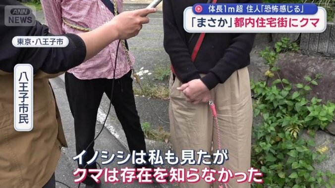 「クマは存在を知らなかった」