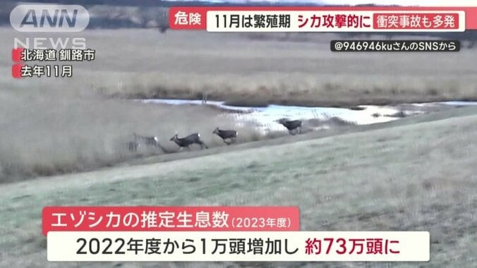 道内のシカはおよそ73万頭に