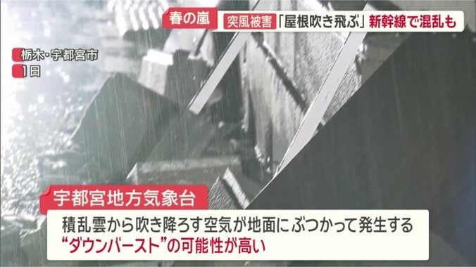 「ダウンバースト」の可能性