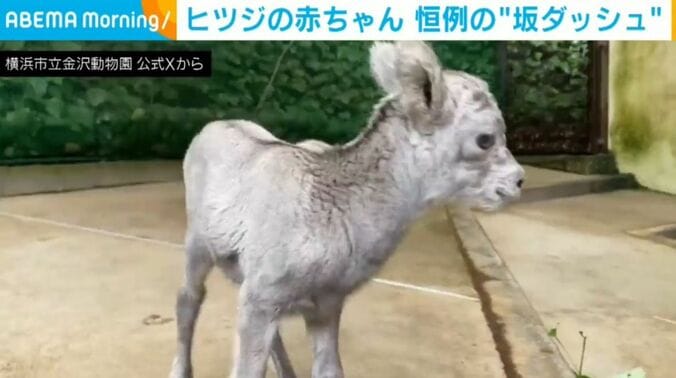 アメちゃん