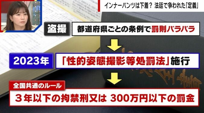 インナーパンツは下着？法廷で争われた「定義」