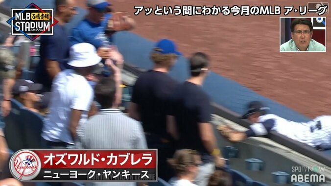 内野で顔面からフェンスに激突、外野でホームランキャッチ ド派手な守備を連発するMLBのルーキー選手 1枚目