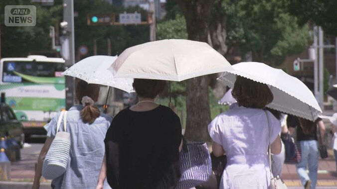 “熱中症”全国で搬送相次ぐ…都内でも“危険な暑さ”『猛暑日』今年最多の170地点 1枚目