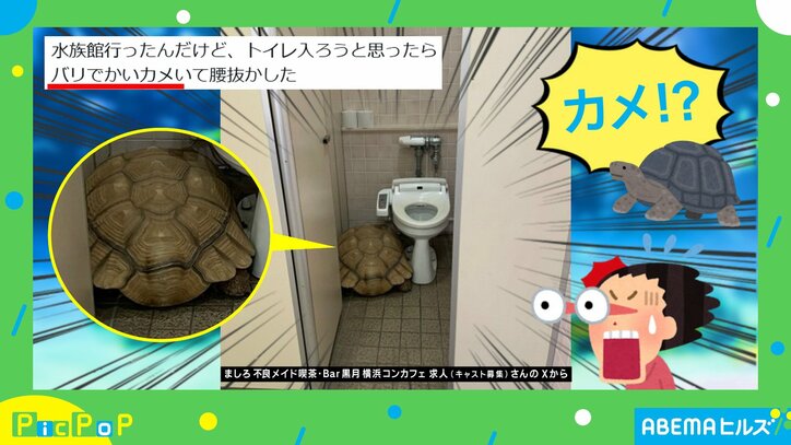 トイレに迷い込んだ巨大な動物