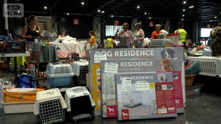 無償で提供されるペット用品　仏ボルドーの避難所　2026年7月28日