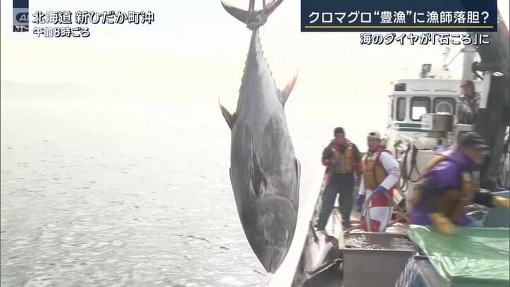 マグロ
