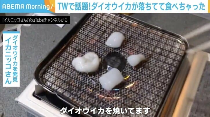 打ち上げられた「ダイオウイカ」の“実食ルポ”が話題「噛めば噛むほど塩化アンモニウムの…」
