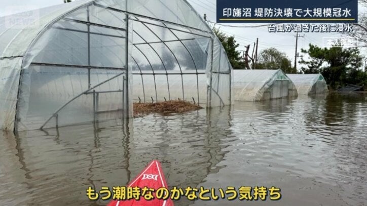 コメ農家　