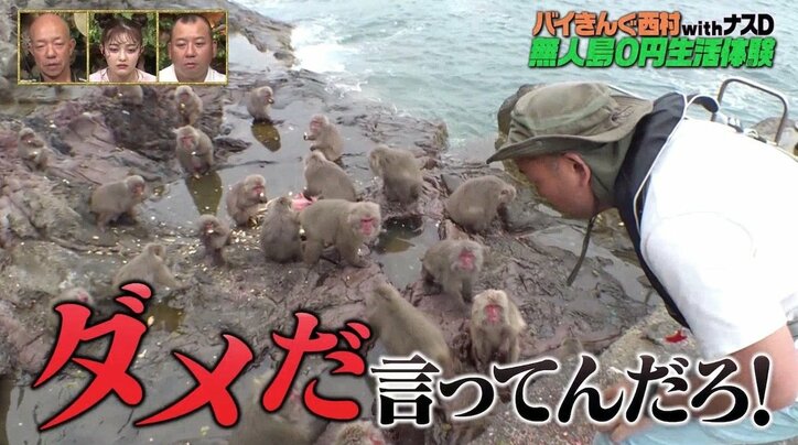 バイきんぐ西村、猿たちとの仁義なき戦い…釣りの餌を奪われ「ムッチャ腹立つ」