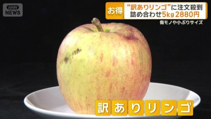 「訳ありリンゴ」
