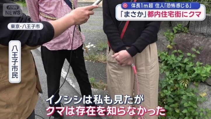 「クマは存在を知らなかった」