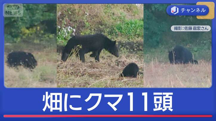 クマ出没全国に…有名観光地にも　各地で厳戒態勢